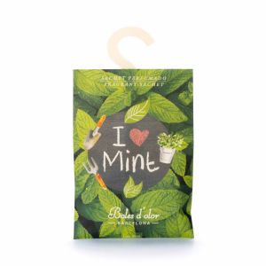 Boles d'olor Geursachet - I love Mint