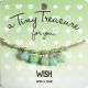 Tiny Treasure - Wish