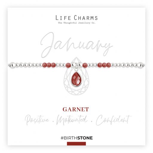 Life Charms - BS01 - Birthstone - January  