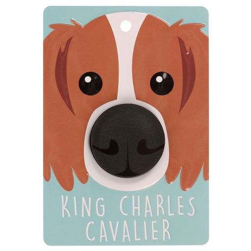 Hondenriemhanger (Pooch Pal) - DL79 - King Charles Cavalier - Blenheim